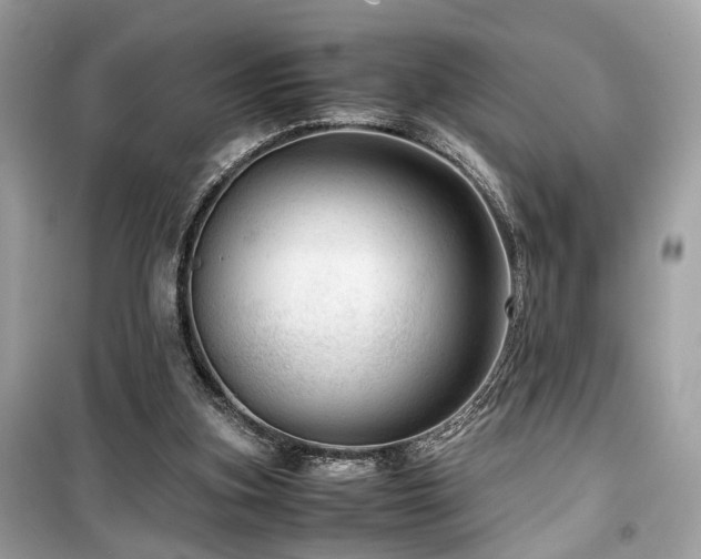 X0000099530155200805161220