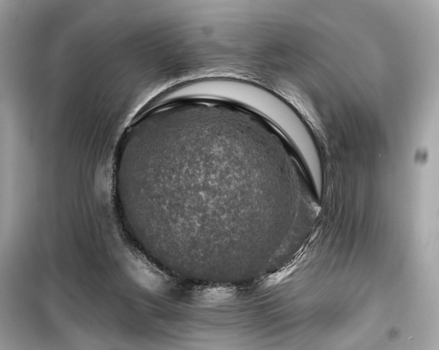 X0000099530156200805161220