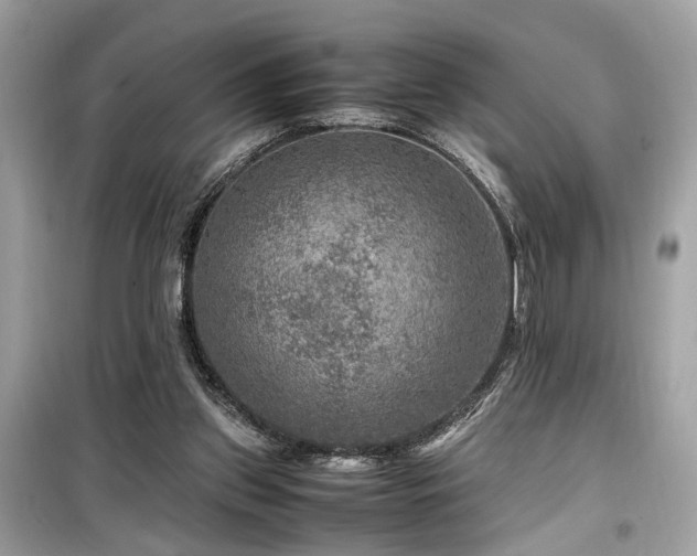 X0000099530157200805161220