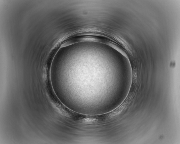X0000099530158200805161220