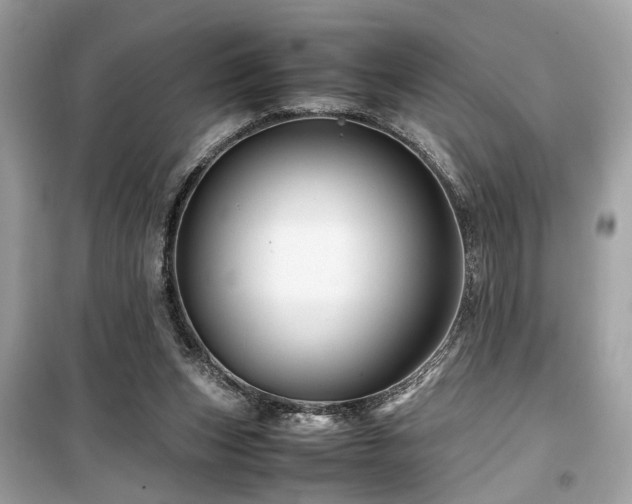 X0000099530159200805161220