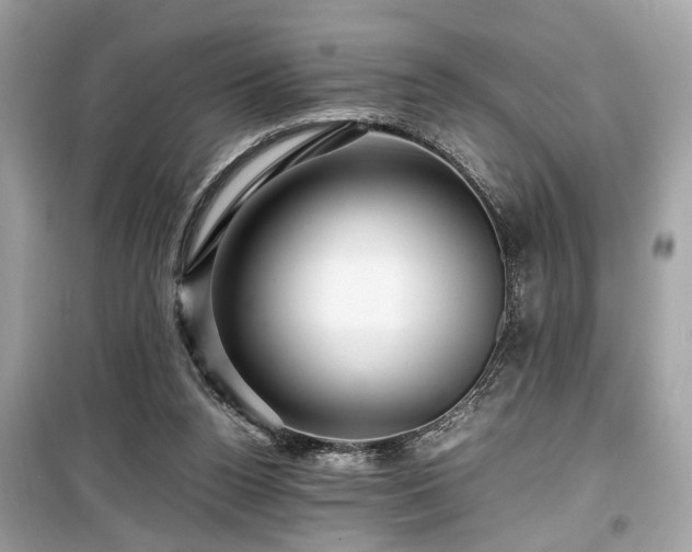 X0000099530160200805161220
