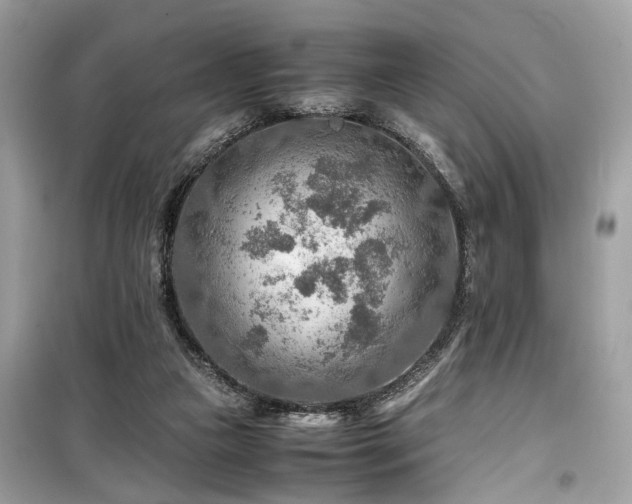 X0000099530161200805161220