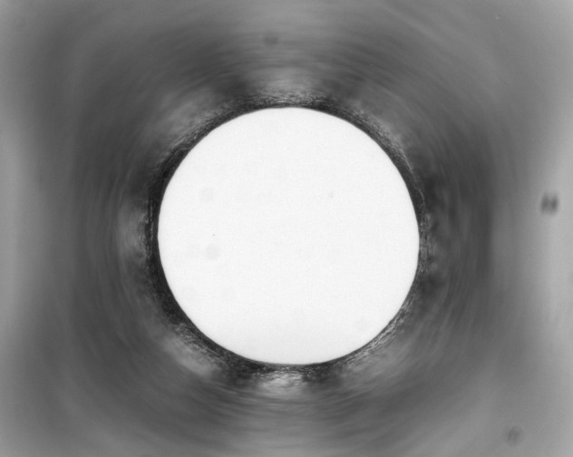 X0000099530162200805161220