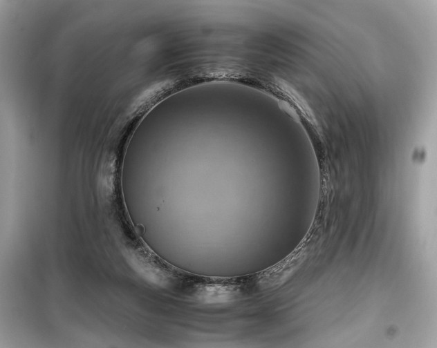 X0000099530163200805161220