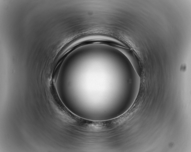 X0000099530164200805161220