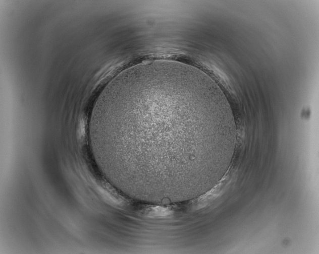X0000099530166200805161220