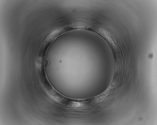 X0000099530167200805161220