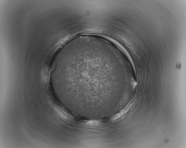 X0000099530168200805161220
