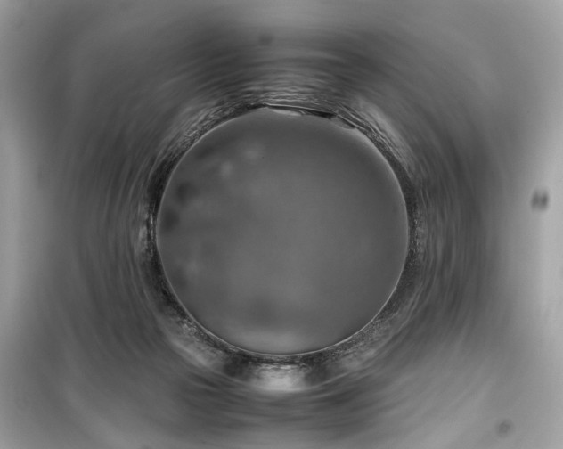 X0000099530169200805161220