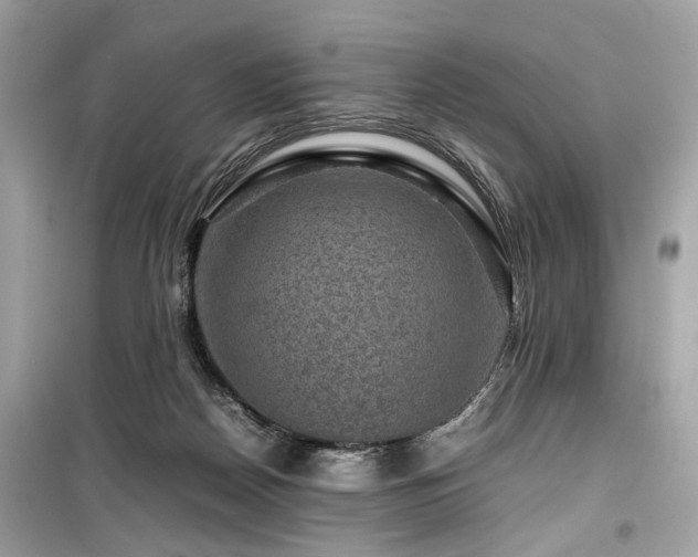 X0000099530170200805161220