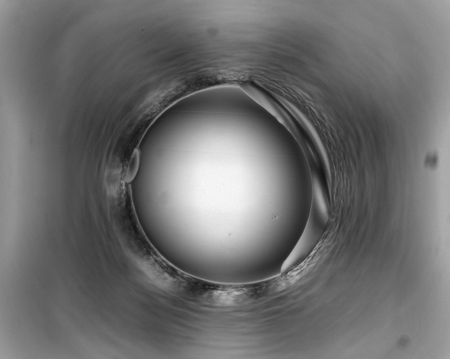 X0000099530172200805161220