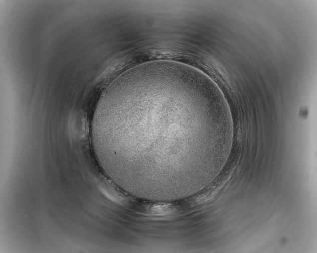 X0000099530173200805161220