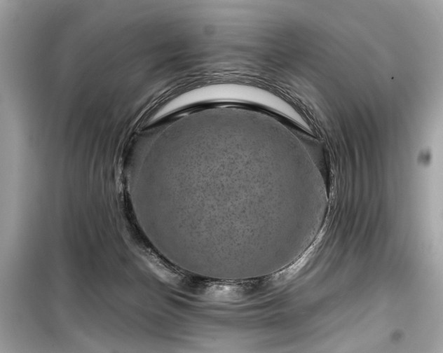 X0000099530174200805161220