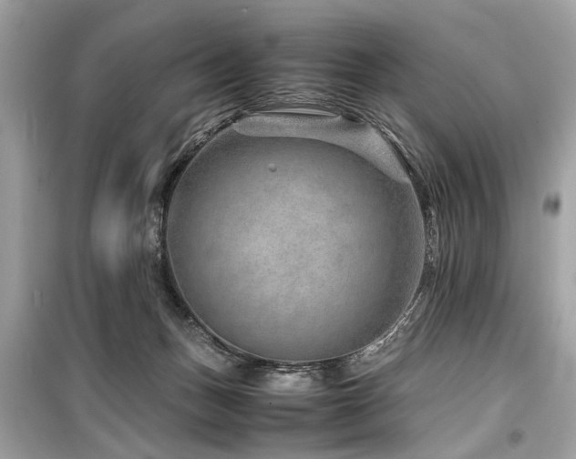 X0000099530175200805161220