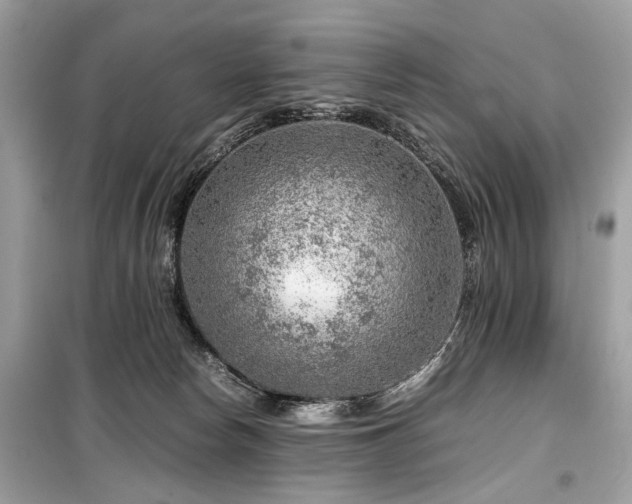 X0000099530178200805161220