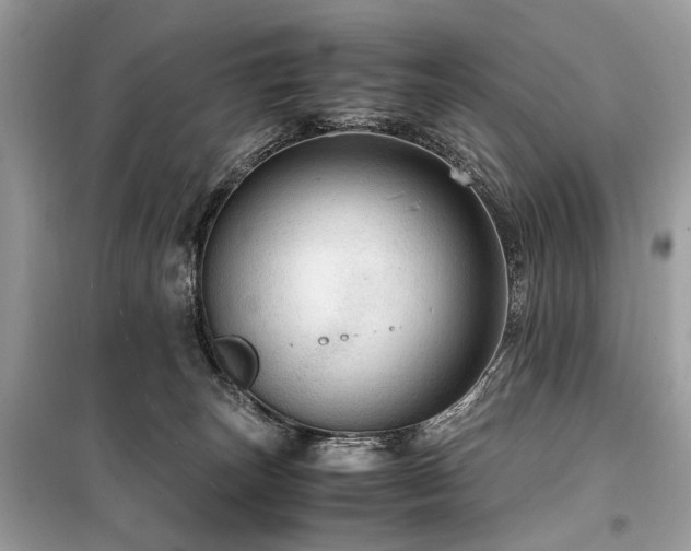 X0000099530179200805161220