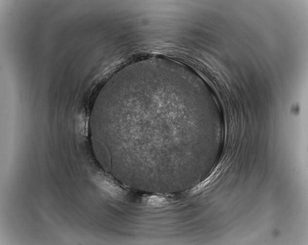 X0000099530180200805161220