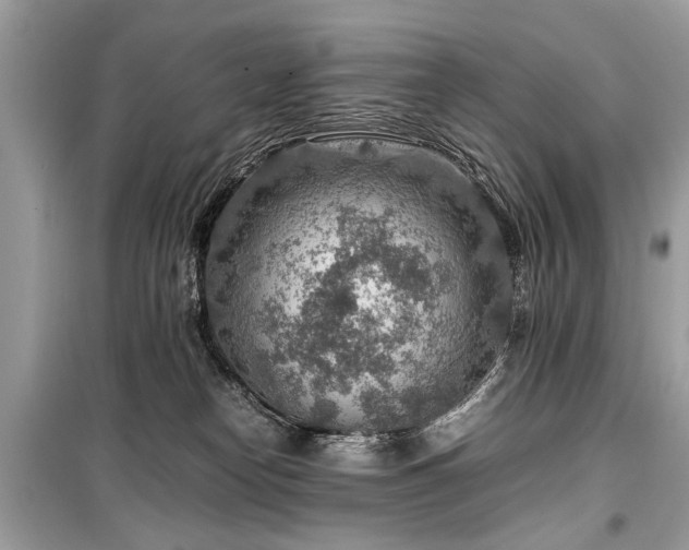 X0000099530182200805161220