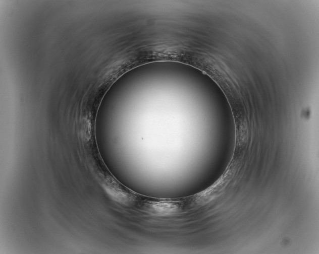 X0000099530183200805161220