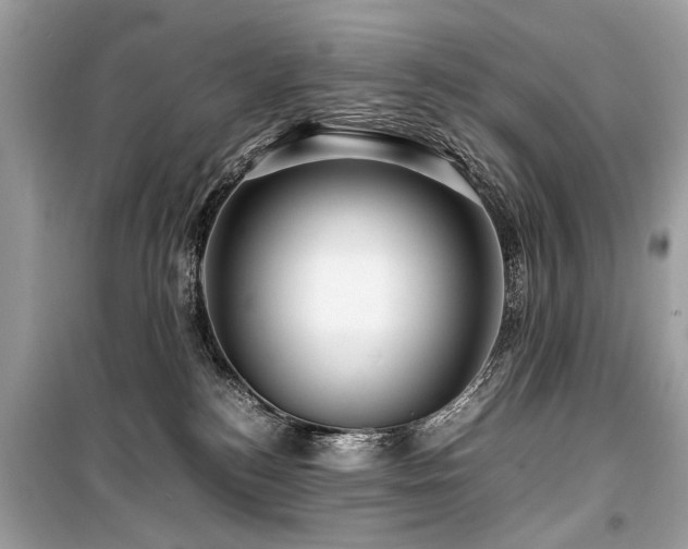 X0000099530184200805161220