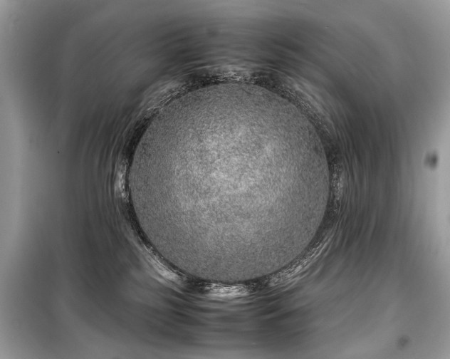 X0000099530185200805161220