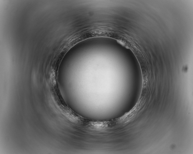 X0000099530187200805161220