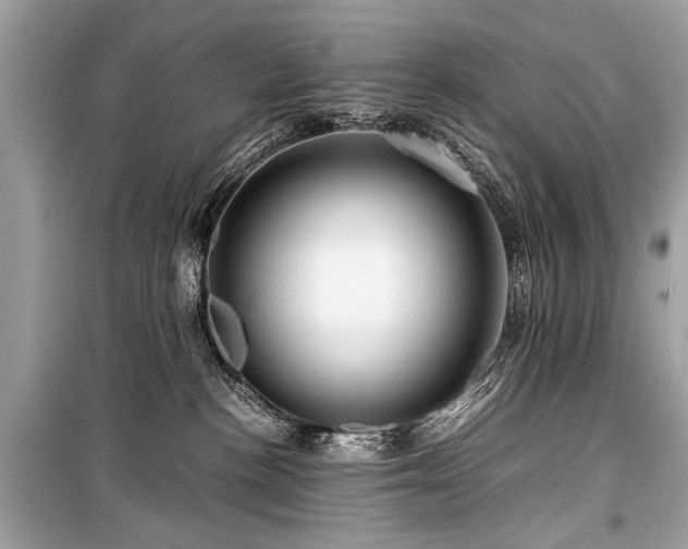X0000099530188200805161220