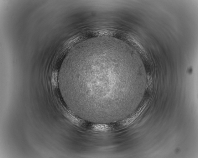 X0000099530189200805161220