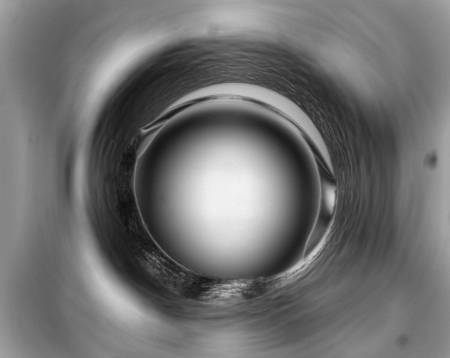 X0000099530190200805161220