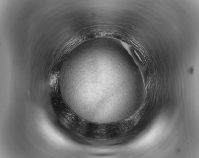 X0000099530191200805161220