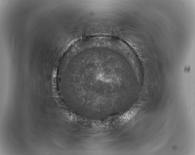 X0000099530192200805161220