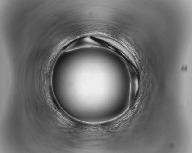 X0000099530193200805161219