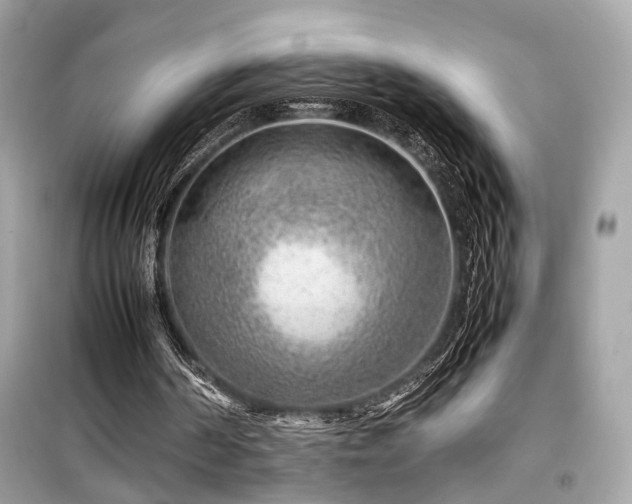 X0000099530194200805161219