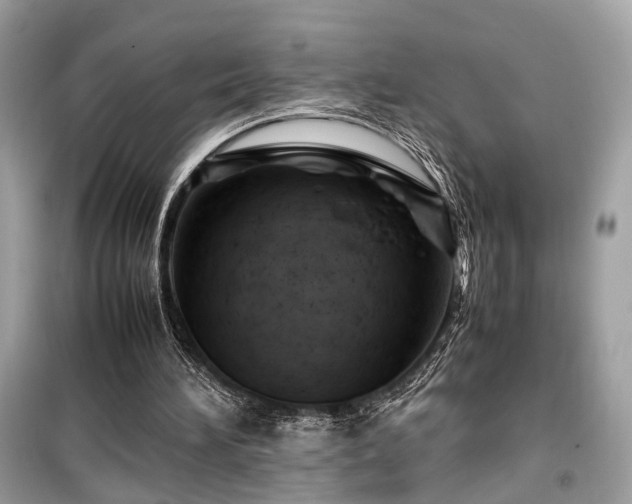 X0000099530196200805161219