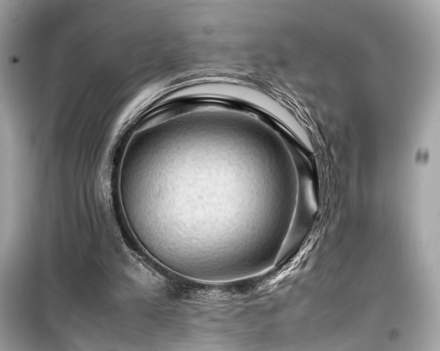 X0000099530197200805161219