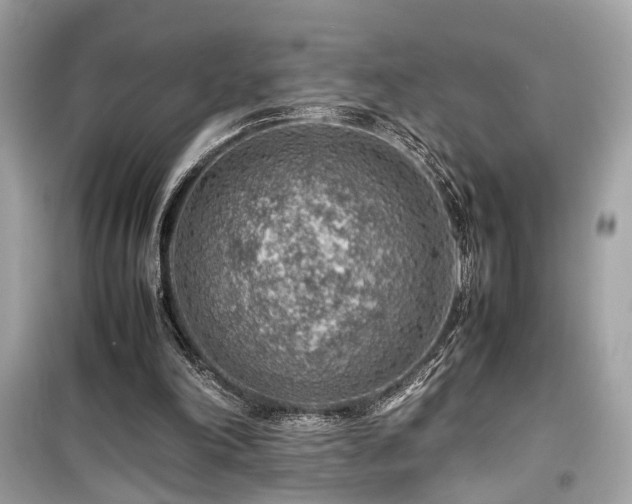 X0000099530198200805161219