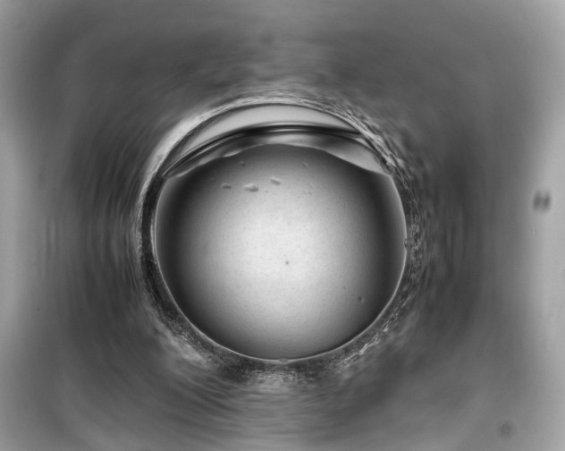 X0000099530200200805161219