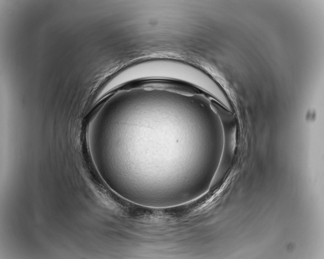X0000099530201200805161219