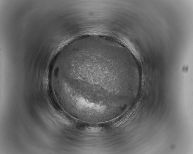 X0000099530202200805161219