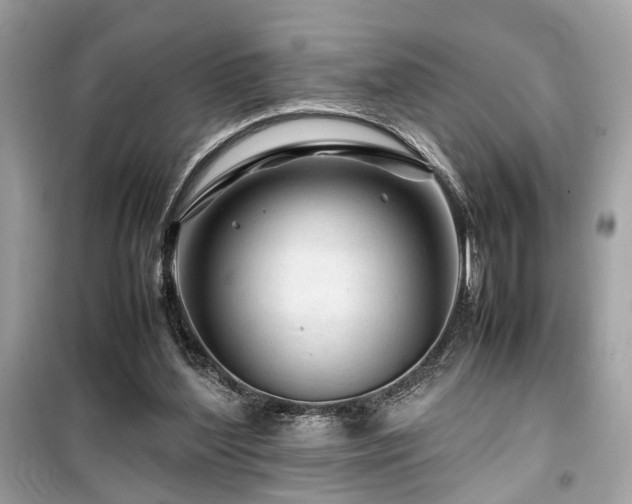X0000099530204200805161219
