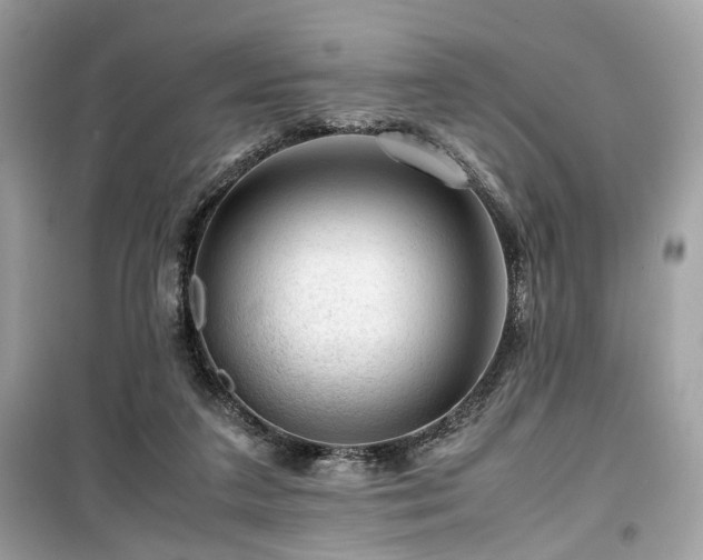 X0000099530211200805161219
