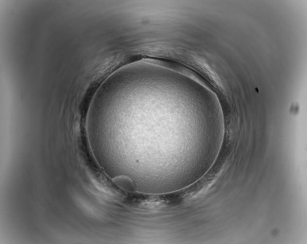 X0000099530213200805161219