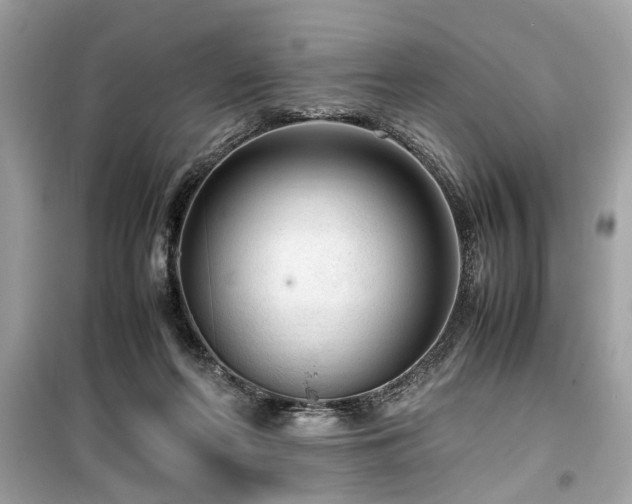 X0000099530214200805161219