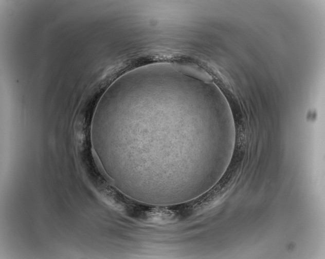 X0000099530215200805161219