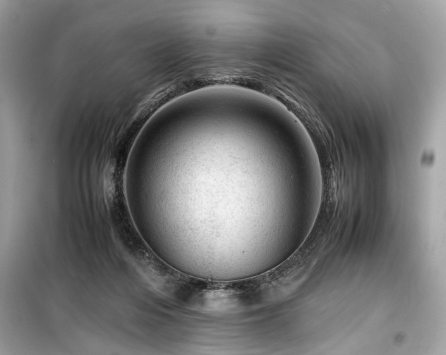 X0000099530216200805161219
