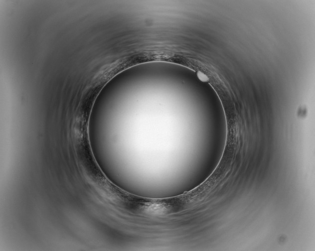 X0000099530218200805161219