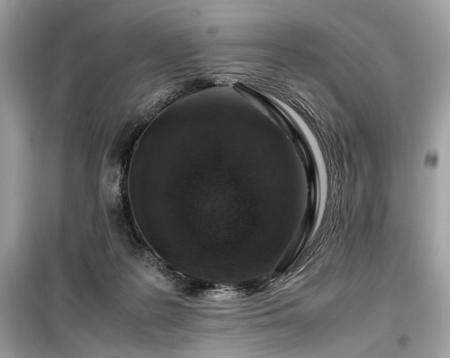 X0000099530219200805161219