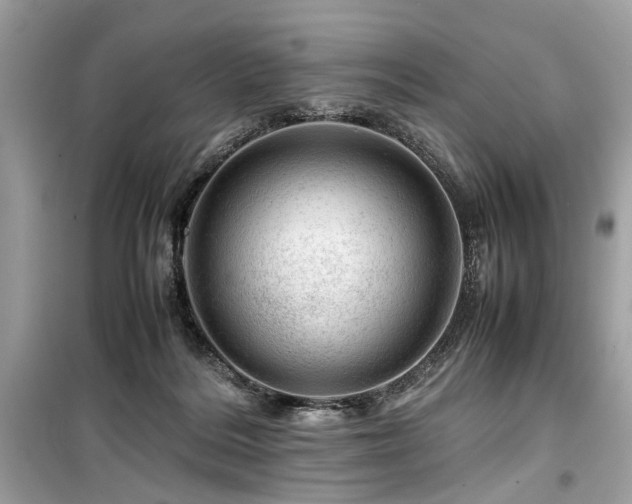 X0000099530220200805161219