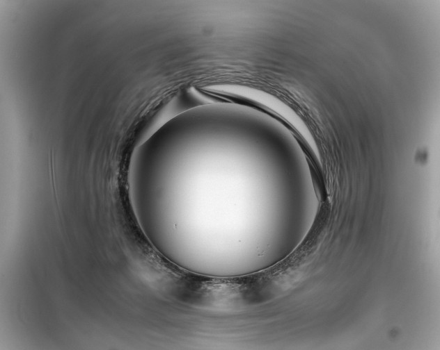 X0000099530221200805161219